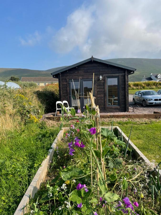 Capella Cabin Dunquin. Dış mekan fotoğraf